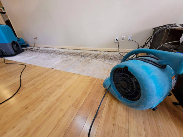 Professional Basement Flood Cleanup technician working in Rockwood, TN